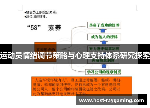 运动员情绪调节策略与心理支持体系研究探索