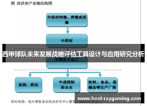 西甲球队未来发展战略评估工具设计与应用研究分析 西甲球队未来发展战略评估工具设计与应用研究分析