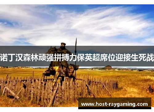 诺丁汉森林顽强拼搏力保英超席位迎接生死战